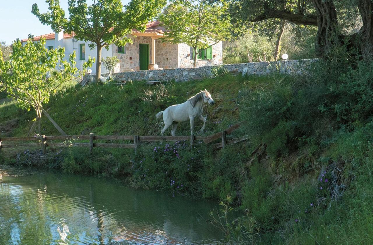Villa Elia Λαμπινή Εξωτερικό φωτογραφία