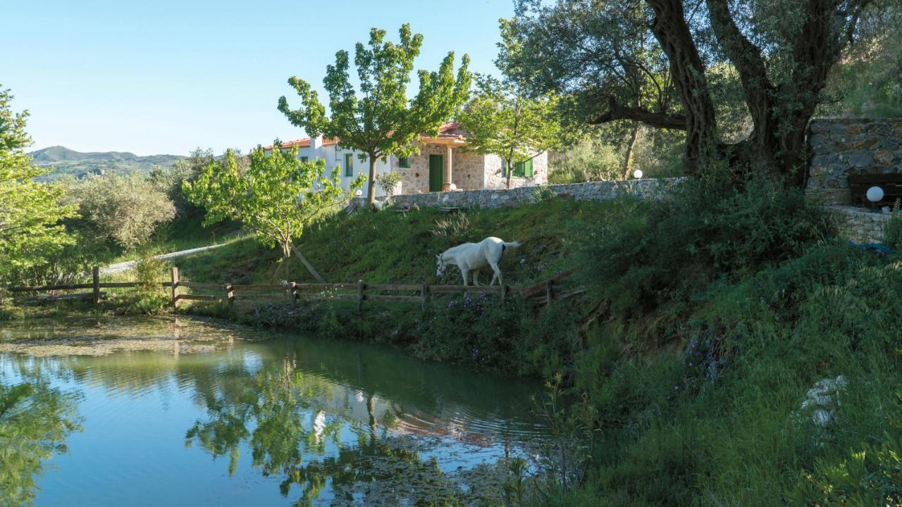 Villa Elia Λαμπινή Εξωτερικό φωτογραφία